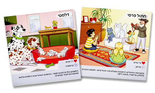 חיות מחמד דלמטי וחתול פרסי