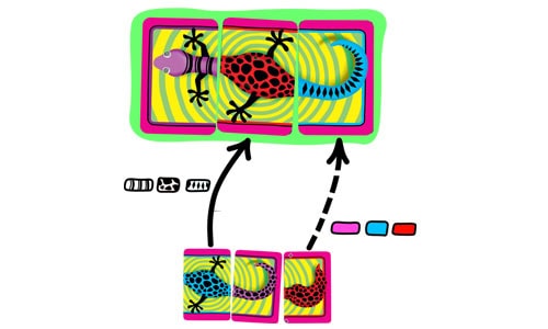 קלפי משחק צבעוניים עם איור לטאה מחולקת לחלקים ממשחק דיזי ליזי